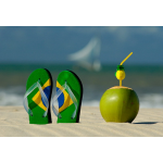 Brazil for kids 2022